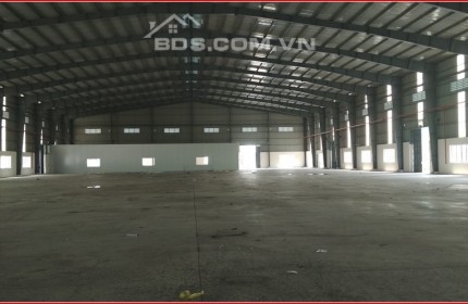 CHO THUÊ XƯỞNG MAY 16.500M2, NGUYỄN HỮU TRÍ, BÌNH CHÁNH, GẦN CẦU BÌNH ĐIỀN